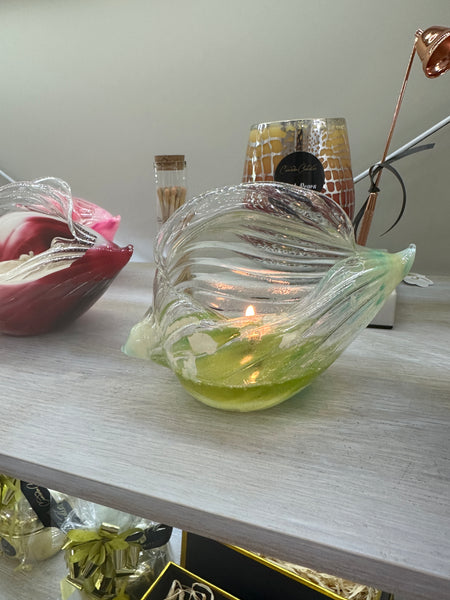 Glass shell candle jar