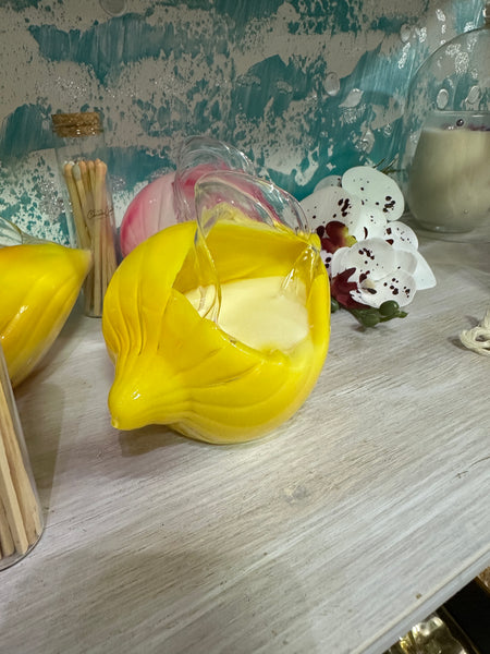 Glass shell candle jar