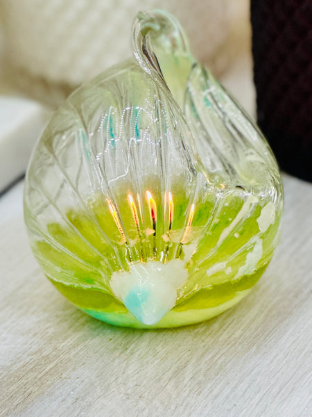 Glass shell candle jar